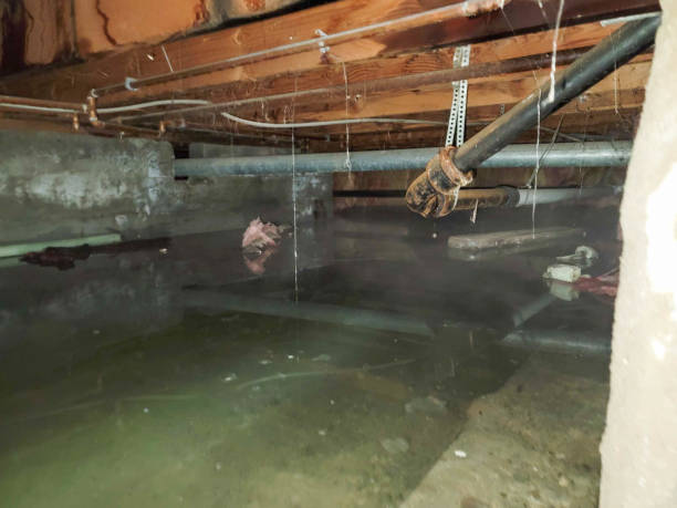 Best Emergency water extraction  in Highland Acres, DE