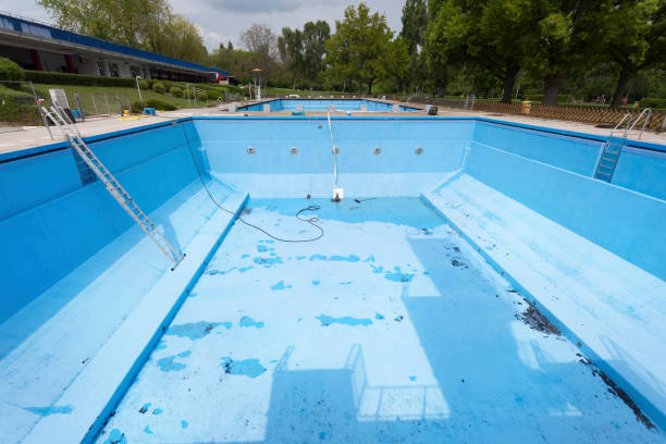 Best Mold removal after water damage  in Highland Acres, DE