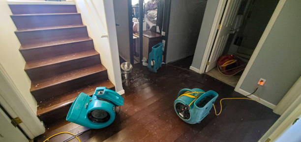 Best Basement water damage restoration  in Highland Acres, DE