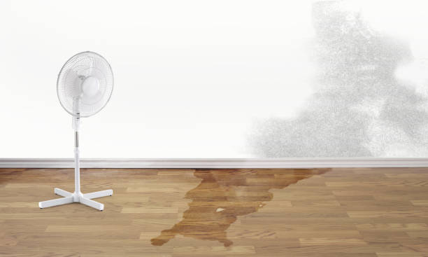 Best Residential water damage restoration  in Highland Acres, DE