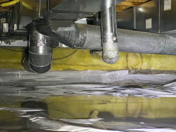 Best Flood damage cleanup  in Highland Acres, DE