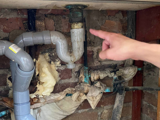 Best Carpet water damage restoration  in Highland Acres, DE